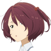 Administrator 头像